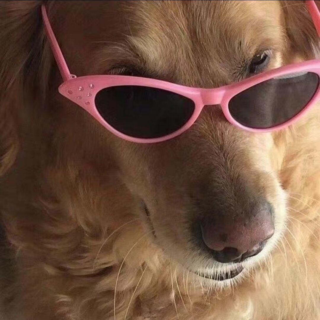 满山猴子我腚红