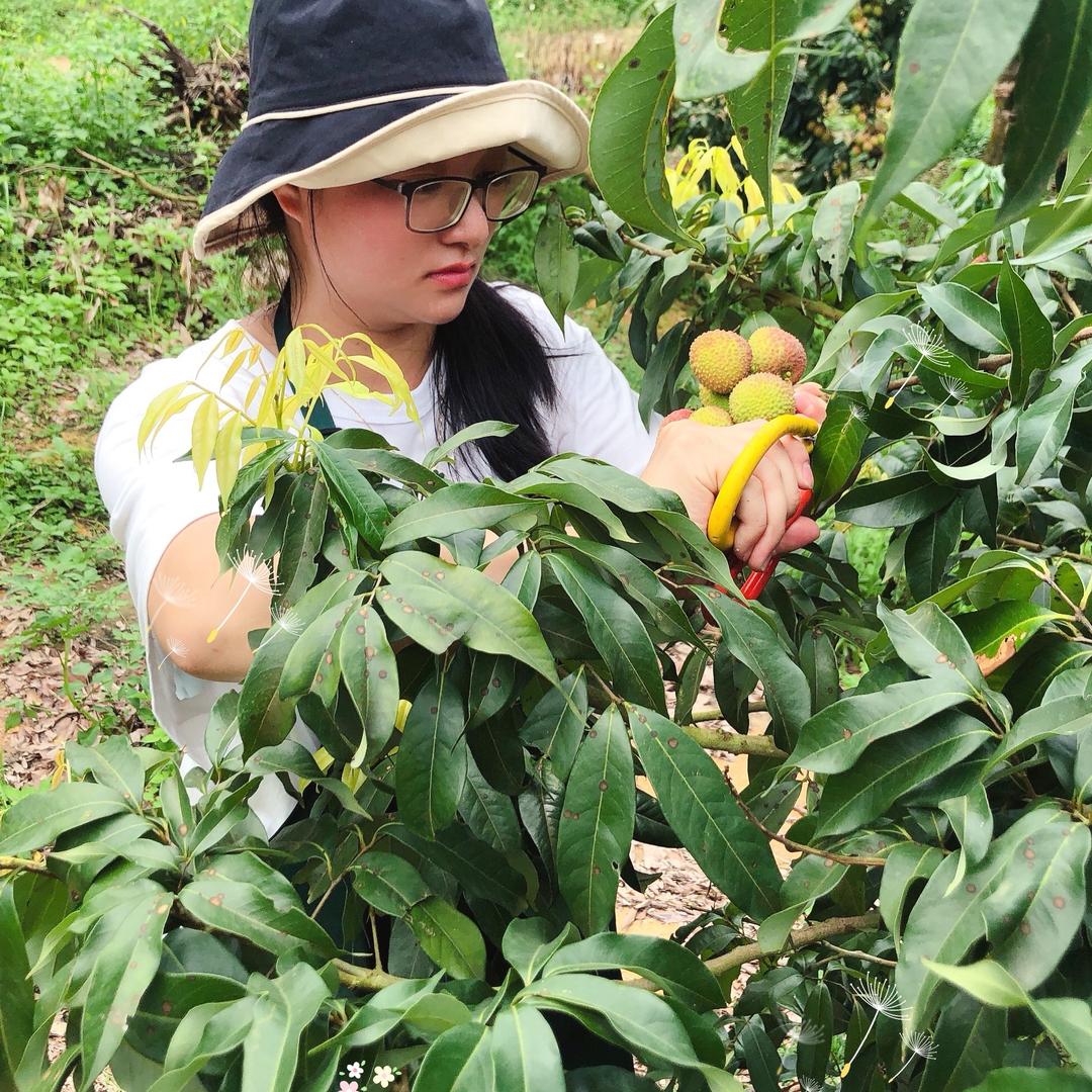 多萱（农产品溯源）