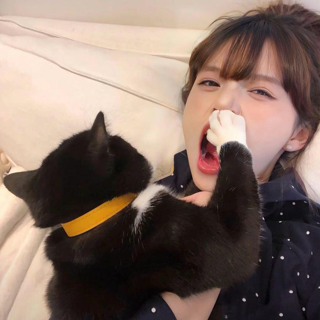 𝘿𝙖𝙉𝙯𝙘𝙞𝘽-