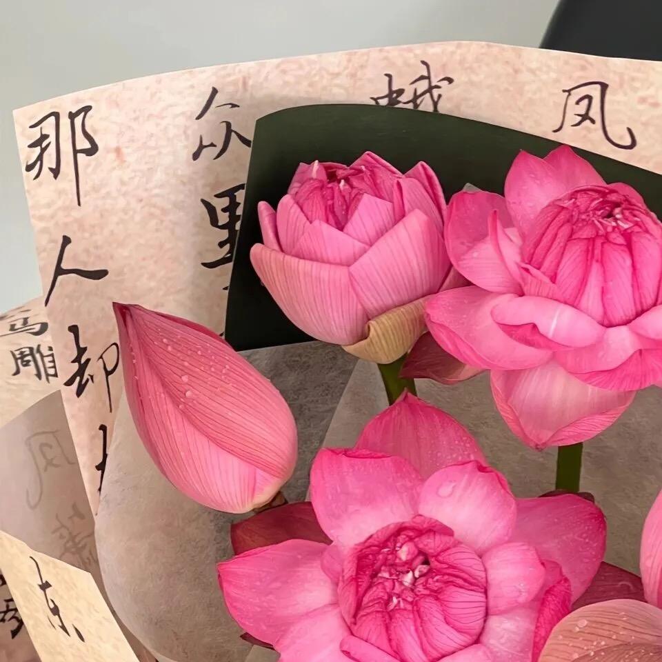 雨林霖