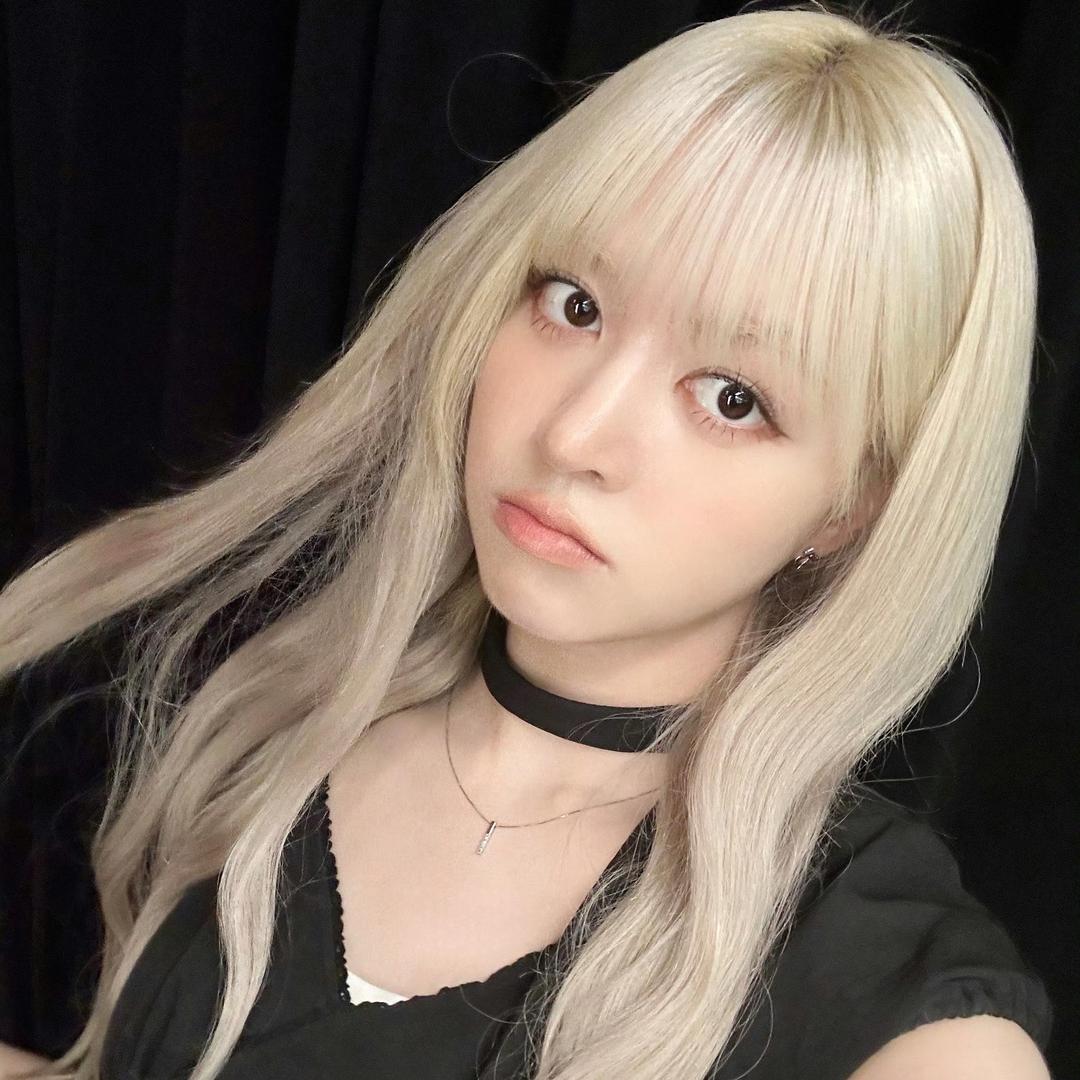 饥饿的黑色被子2612