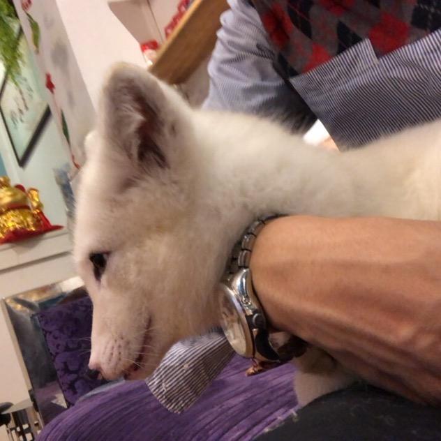 思裂