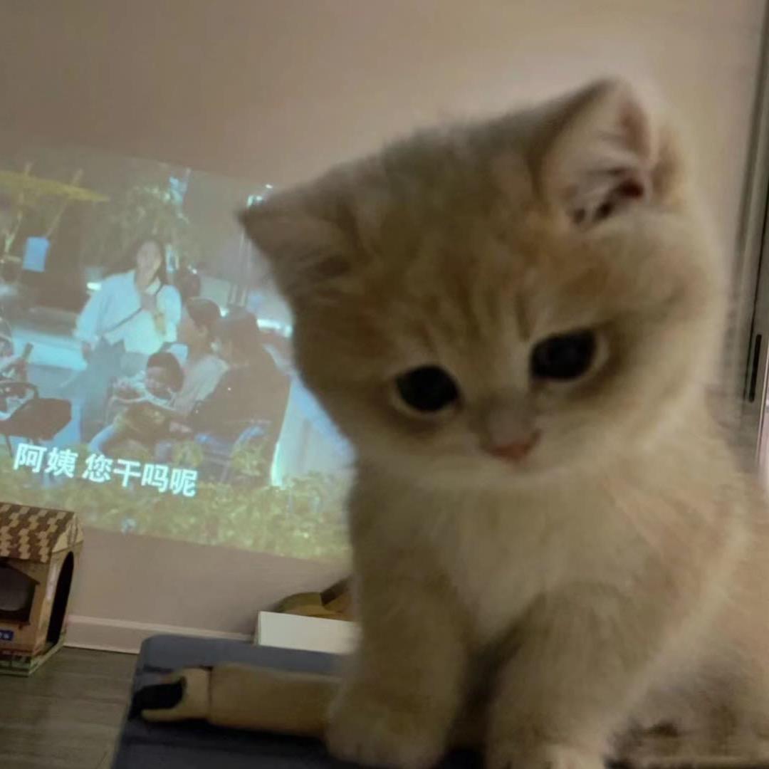 海的那边还是海吗.