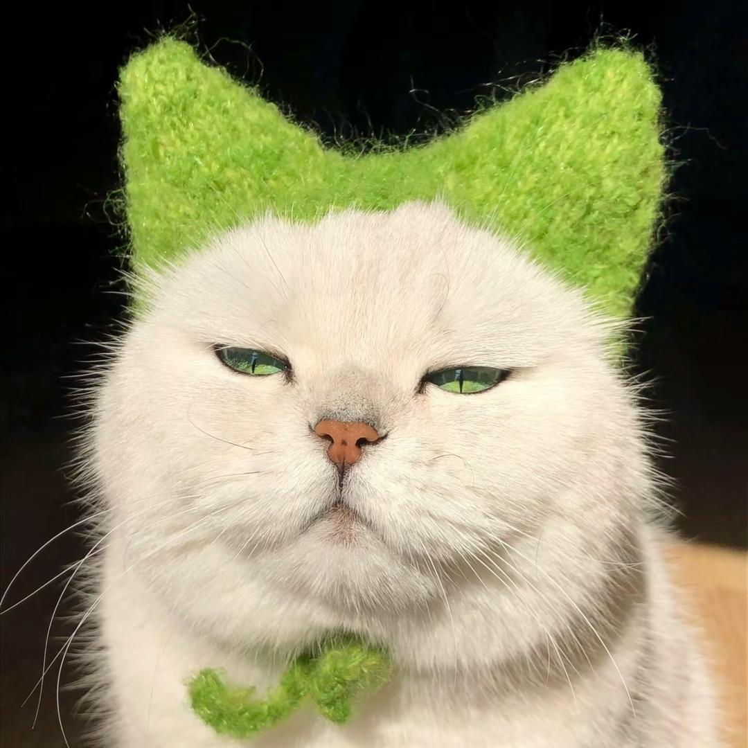 番茄不炒蛋(˶‾᷄ ⁻̫ ‾᷅˵)