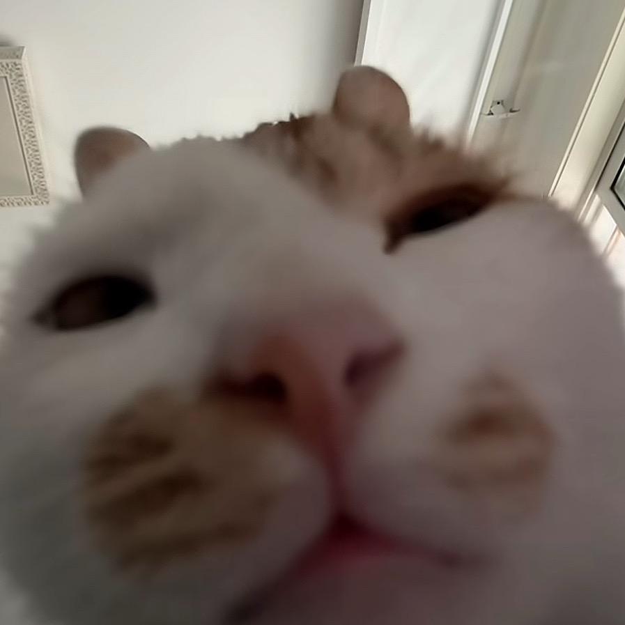 宇宙无敌超级非凡大碗饭（慢慢回