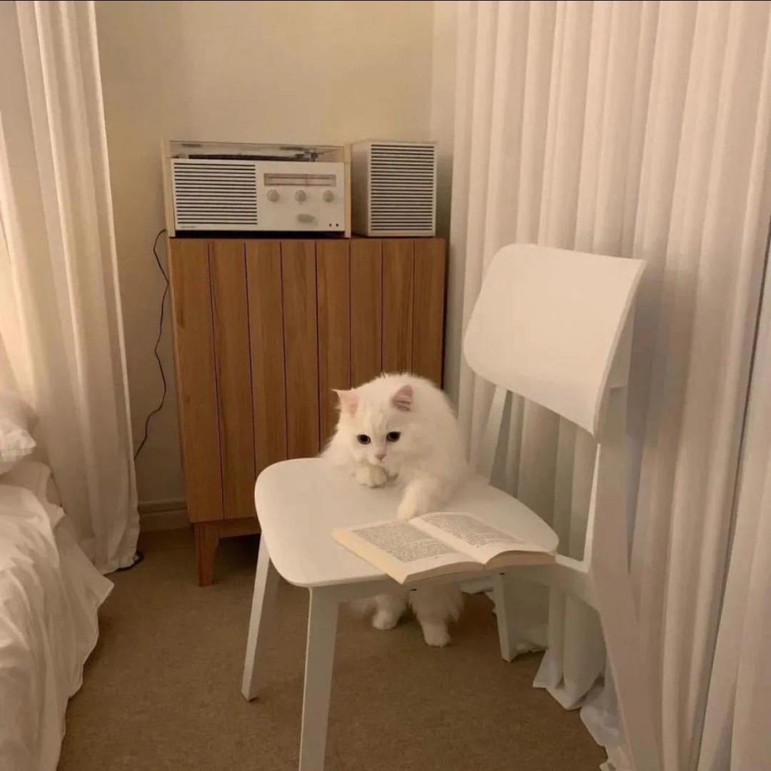 悠悠