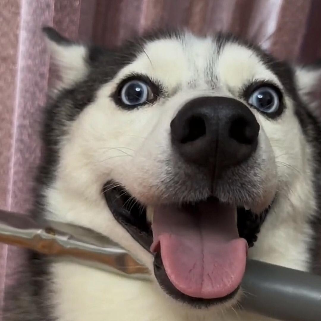你个曹贼 哪里跑