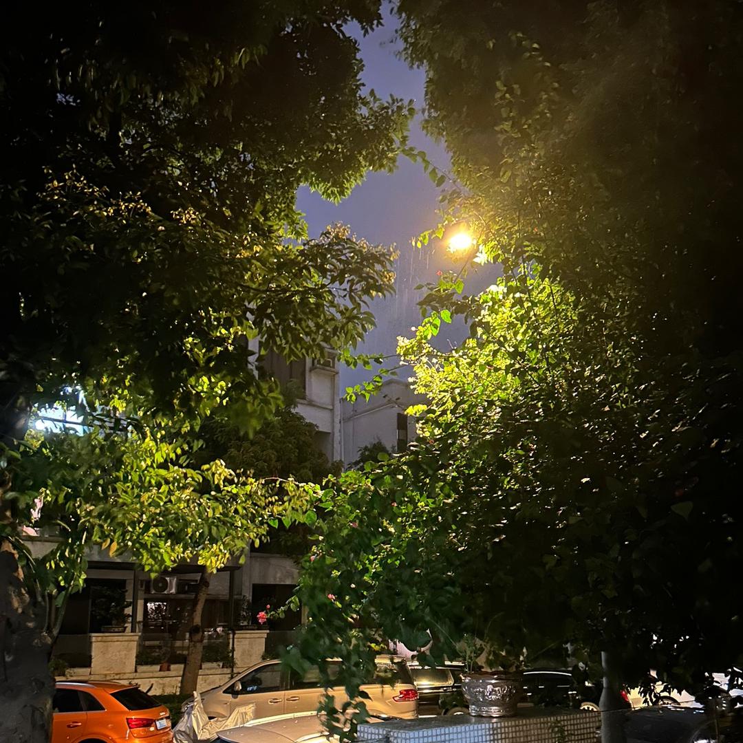 涂豆丝。