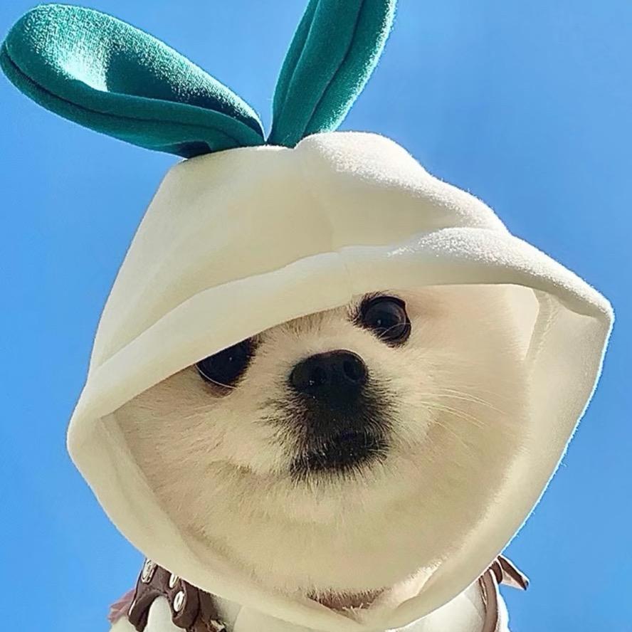 【巢天椒】椒麻鸡武威分店