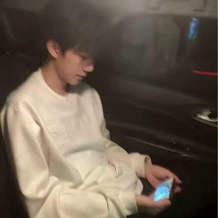 疑似绝美伪人