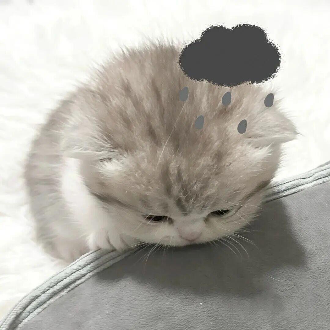 D头像