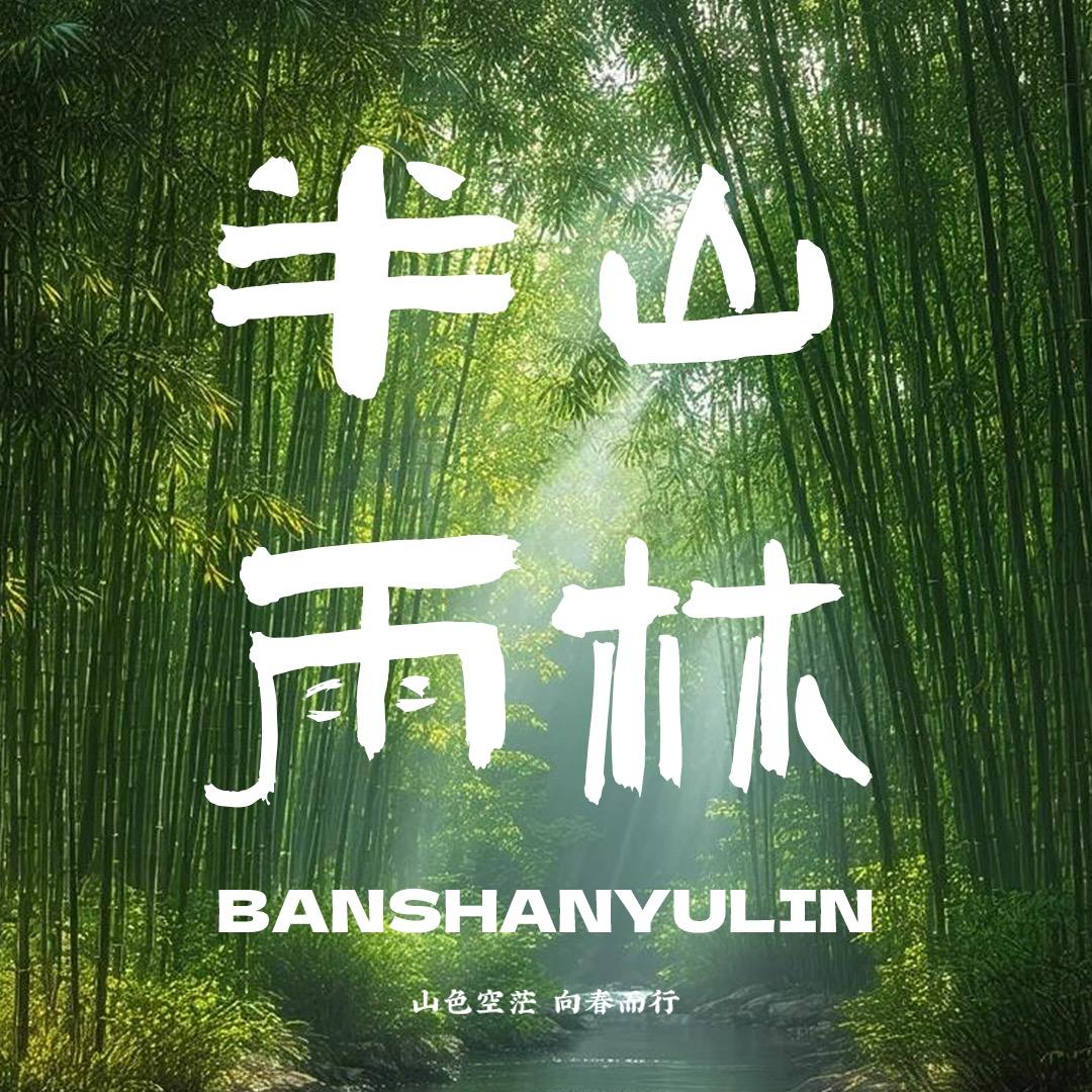 半山雨林户外露营🏕️