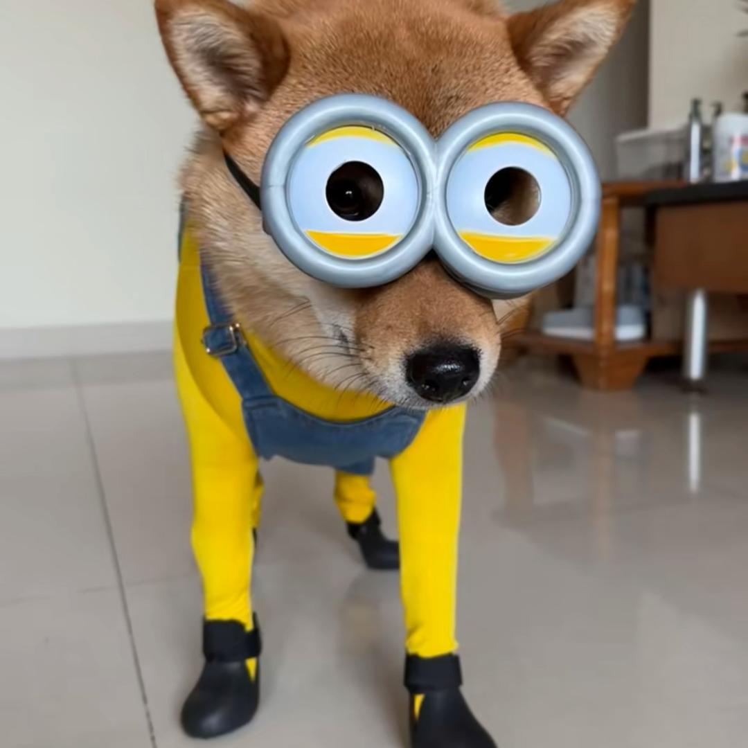 脑瓜疼