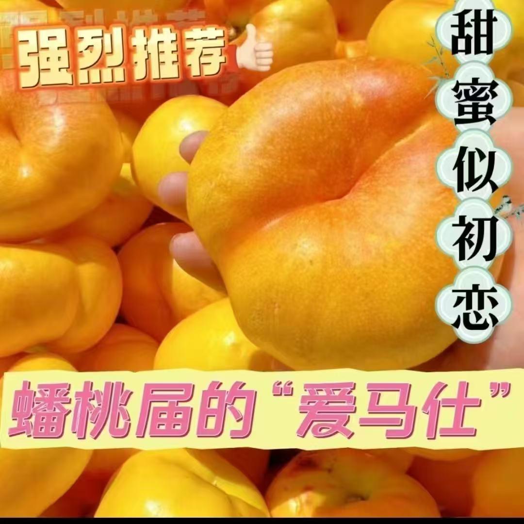 沂蒙蜜桃美恺
