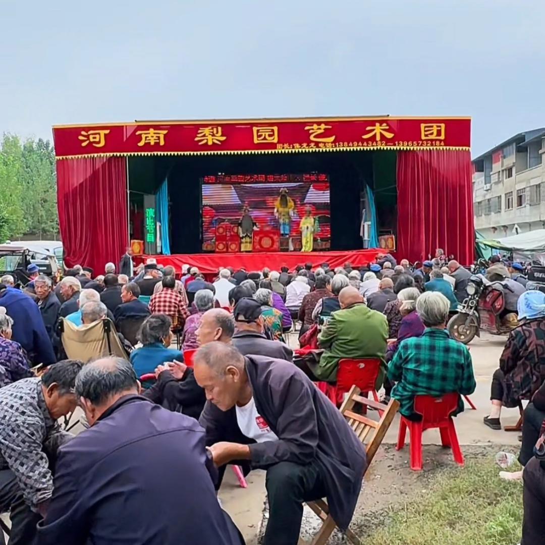 河南梨园艺术团 龙龙