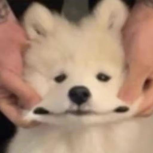 L1fe