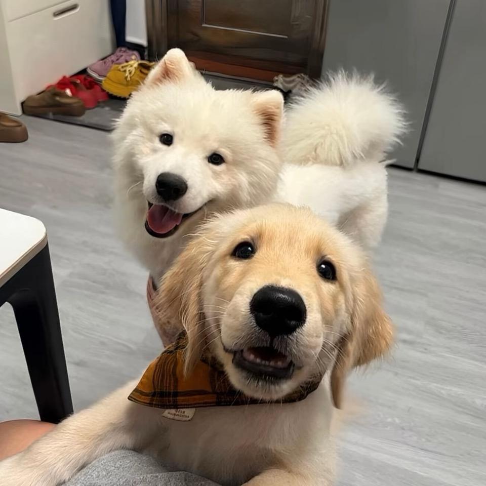 维尼
