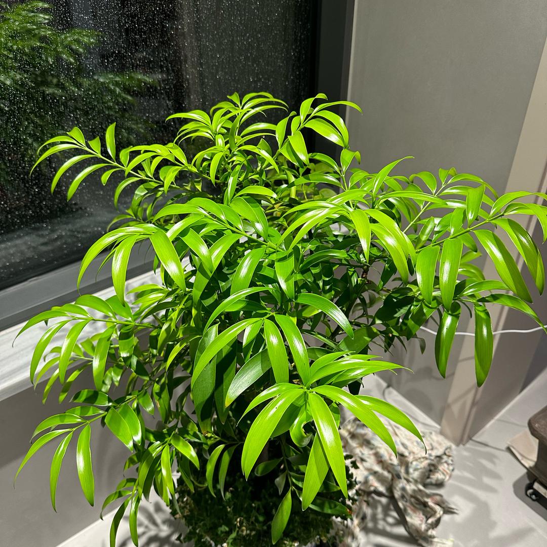 小四同志