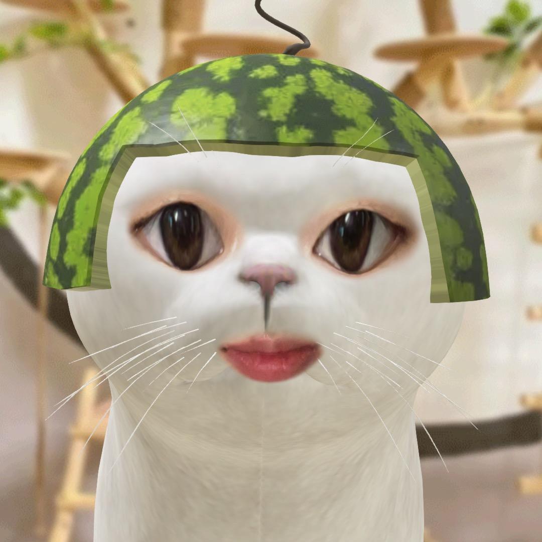 酱酱子