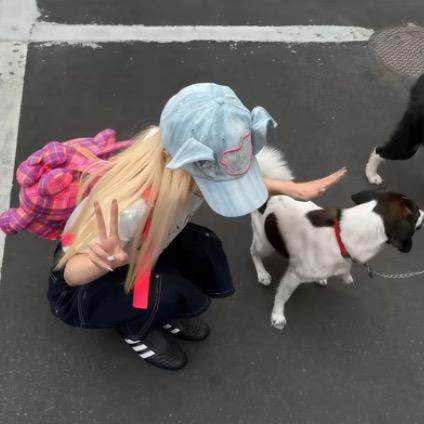萌不萌