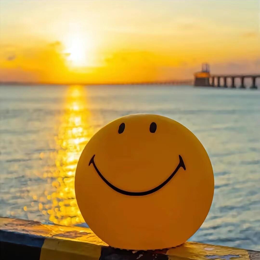 🌞🌞