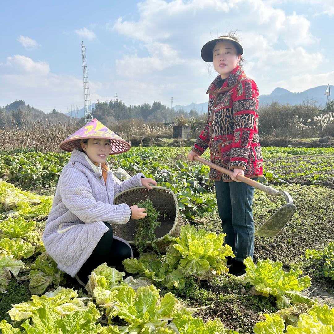 利川市康绿土特产