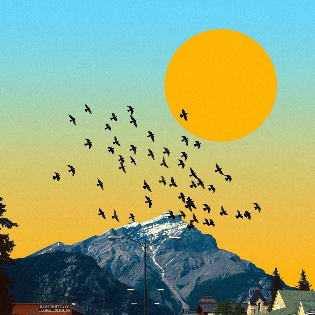 好好学习 天天向上