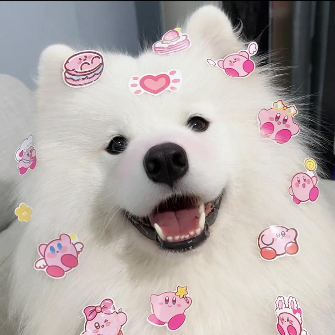 耶耶小高