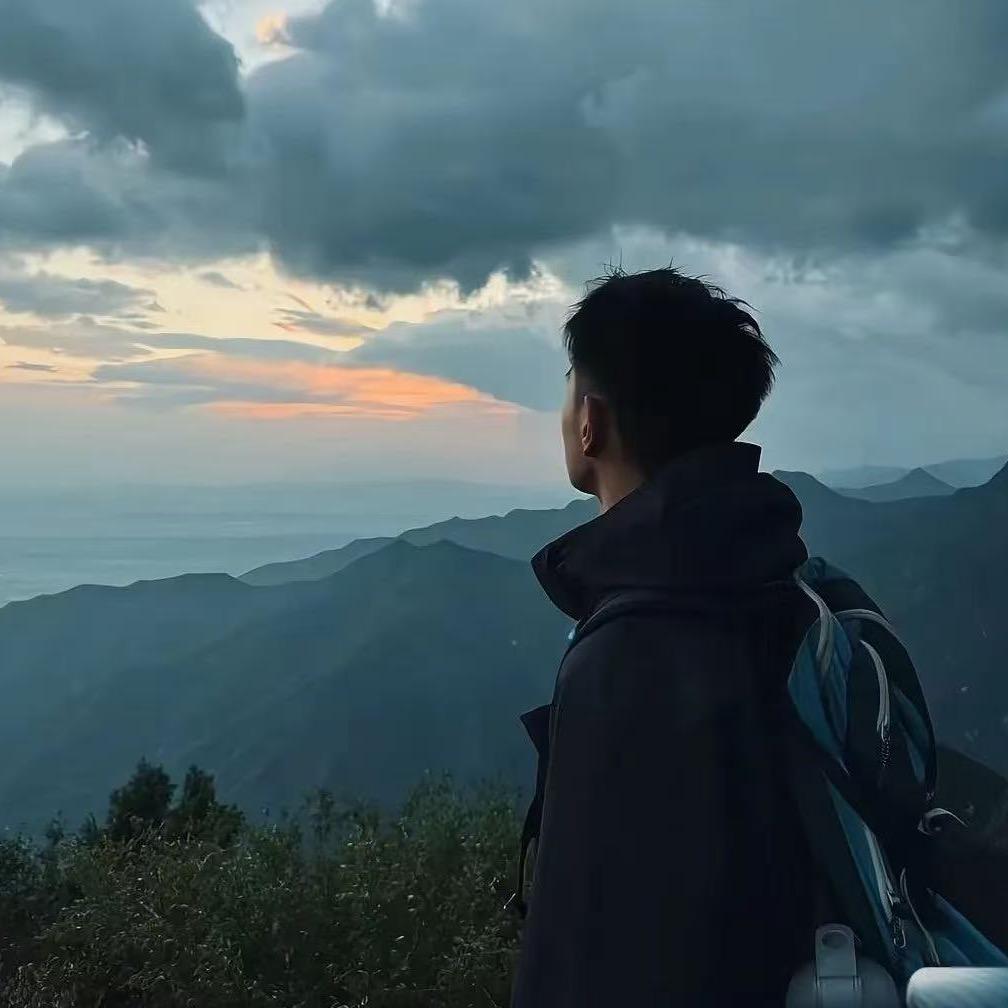 山有木兮木有枝