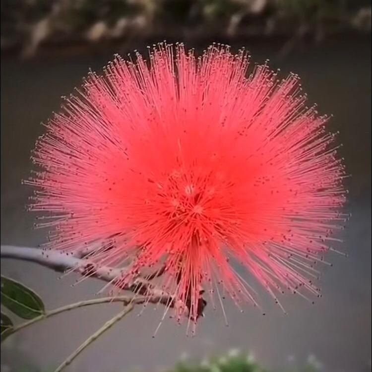 我还是原来的我