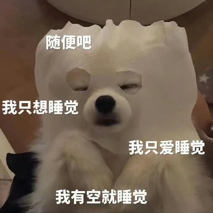 嘟嘟嘟00221