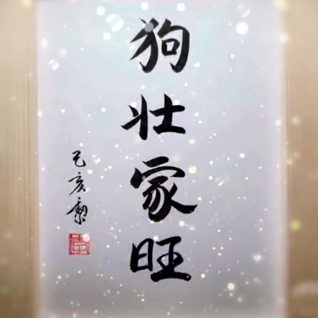 果果•雪纳瑞