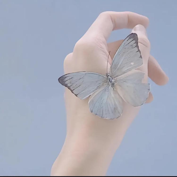 yoyo穿搭