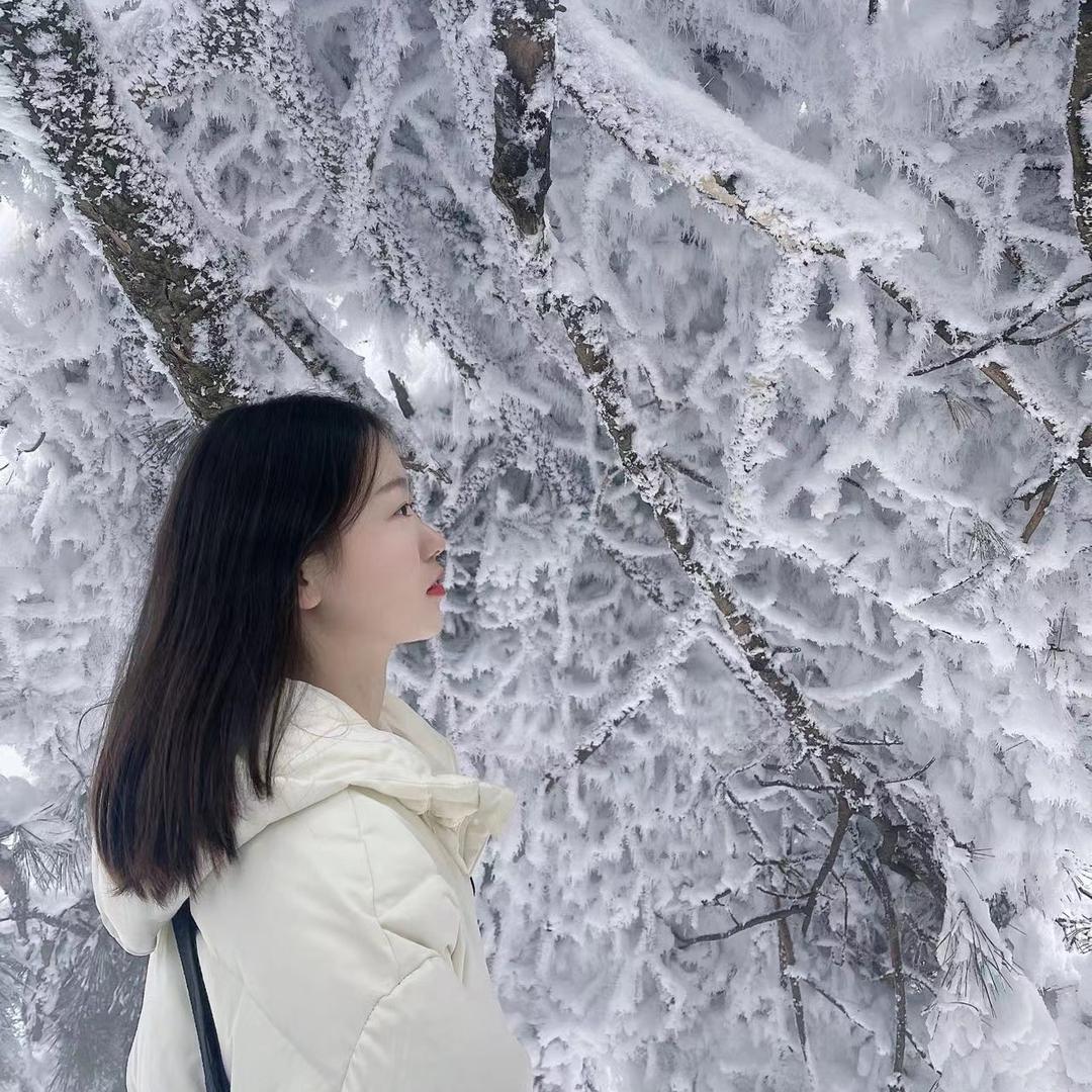 美美