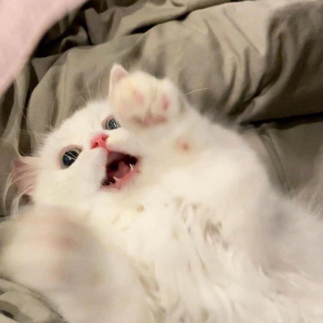 啊？