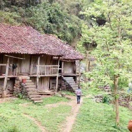 坚…毫无保留地相信