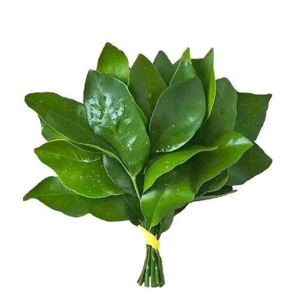 婉婉