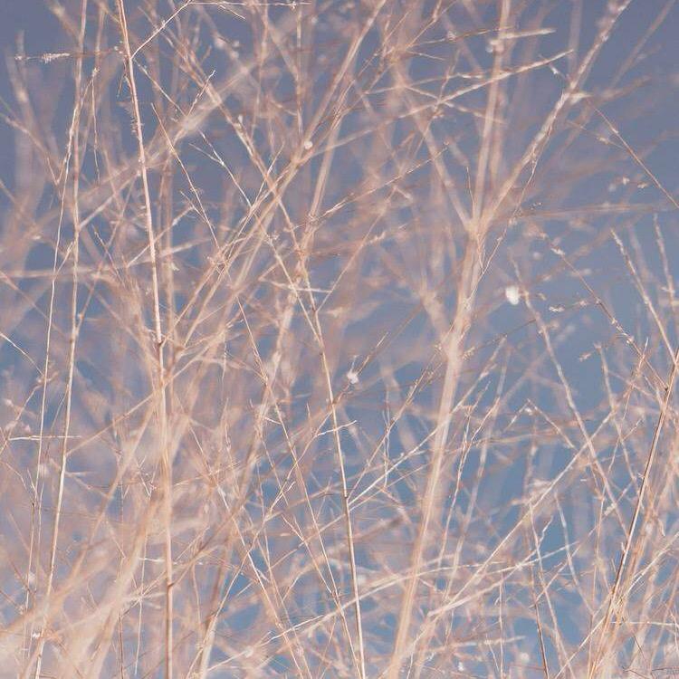廾 匸