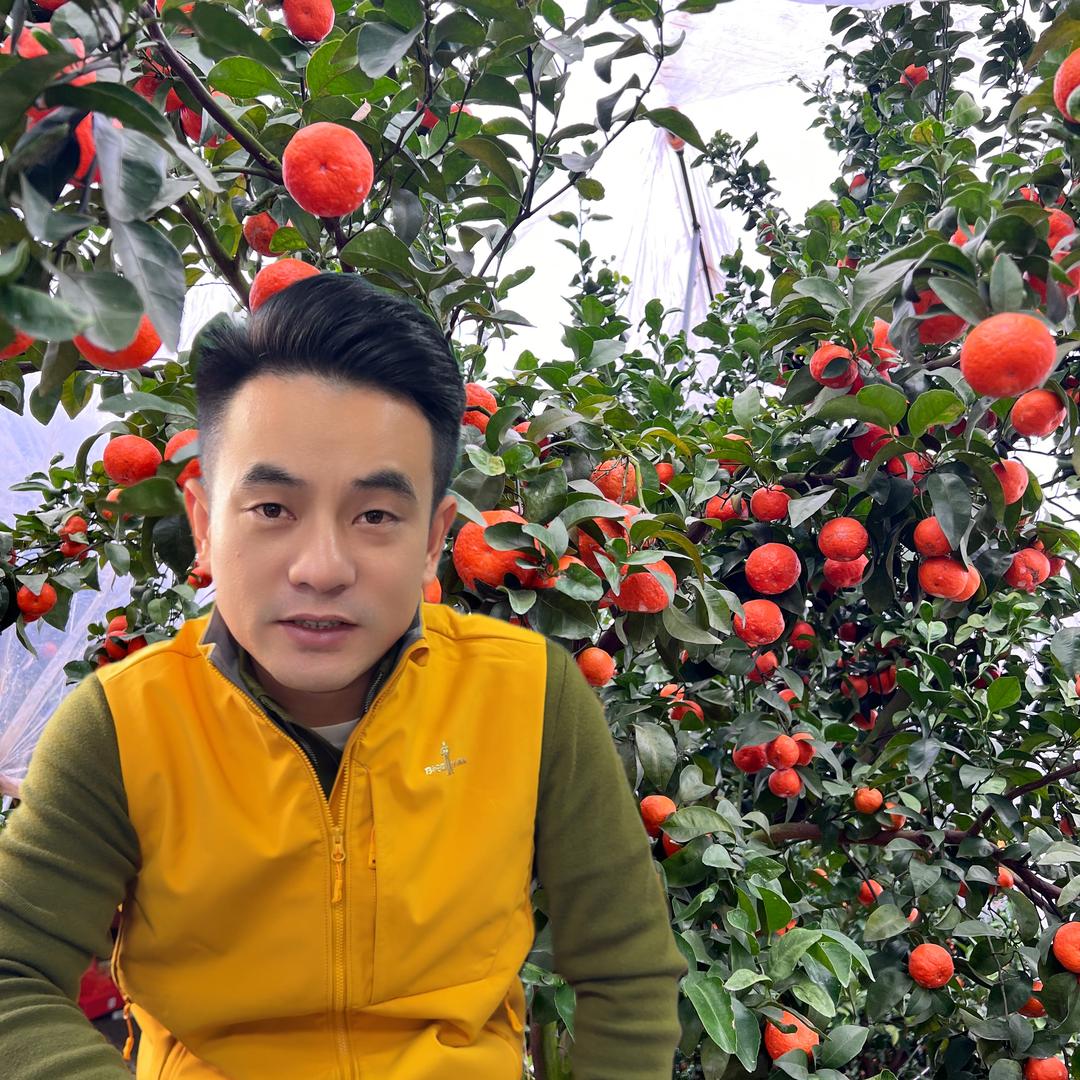 聚诚农业工厂店