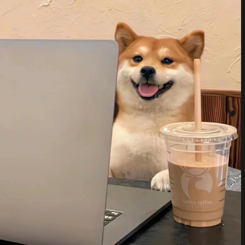 多叁今晚吃什么