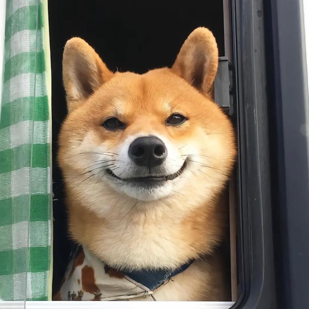没有昵称