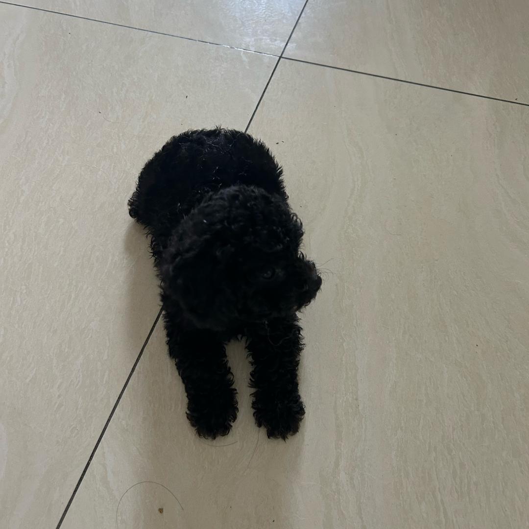 乐乐🐻