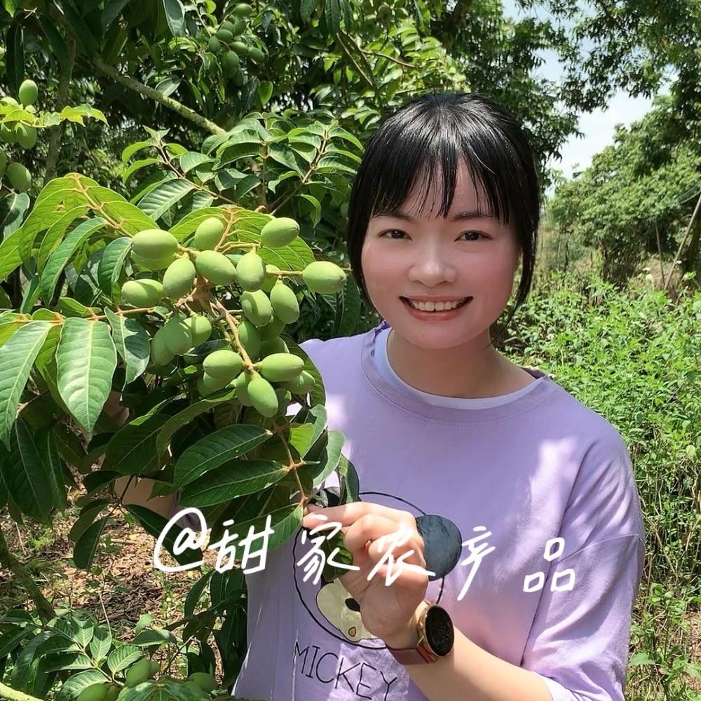 天鹅湖橄榄产地