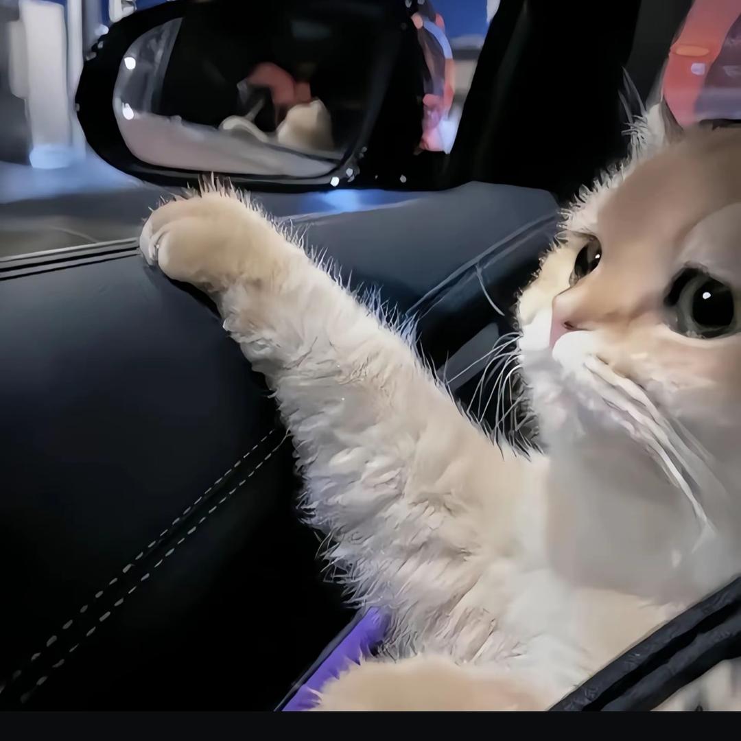 (ﾟOﾟ)咕咕嘎嘎