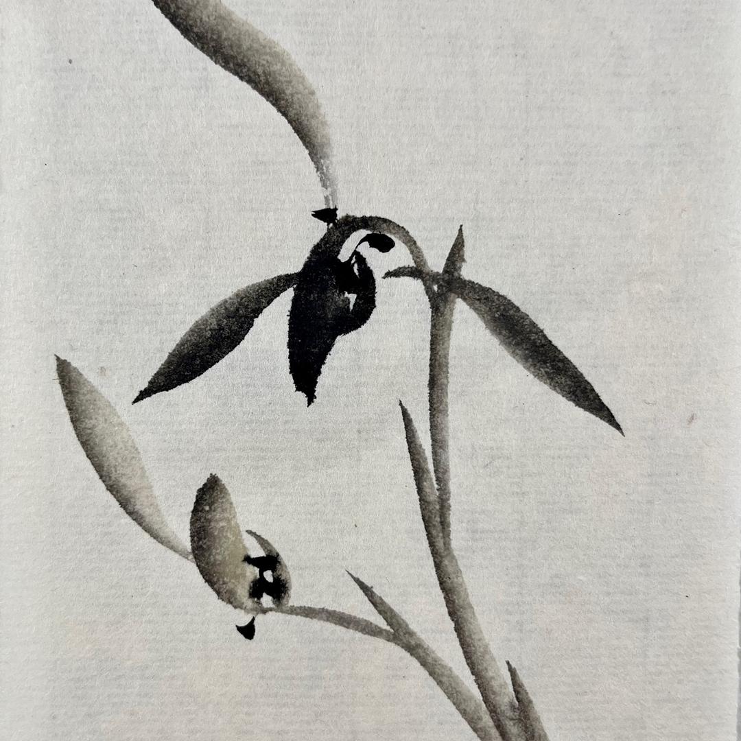 草根画兰