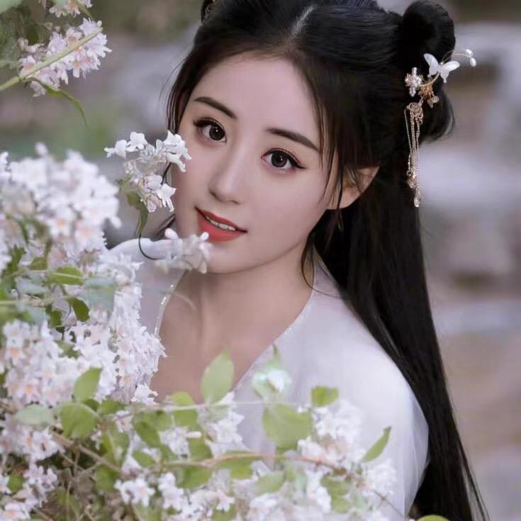 🥀入画浅相思☘️