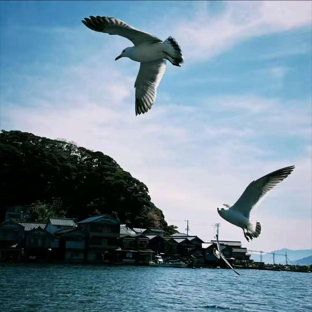 大轮轮