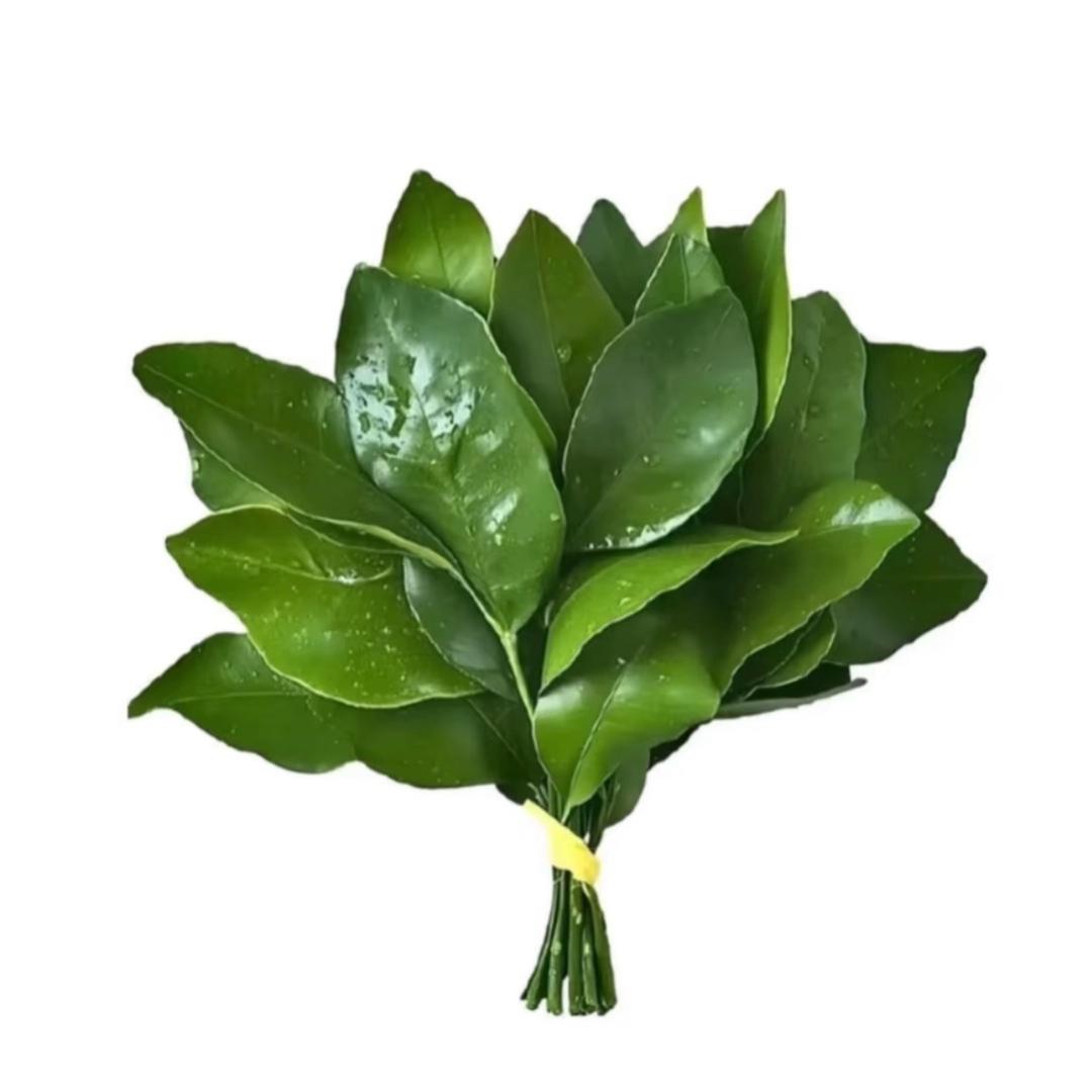 小乖