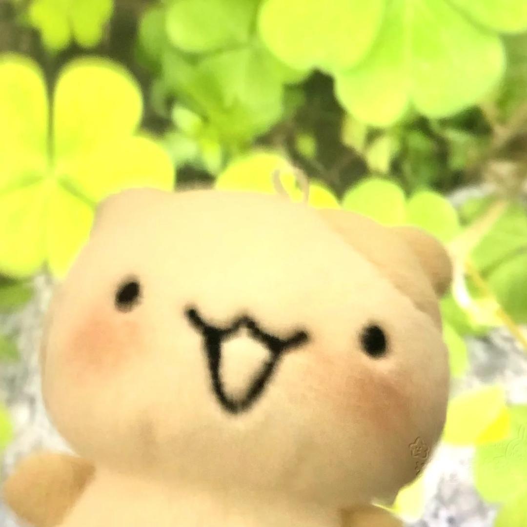 小TT
