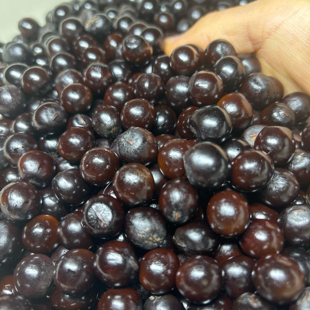 DIY菩提缘